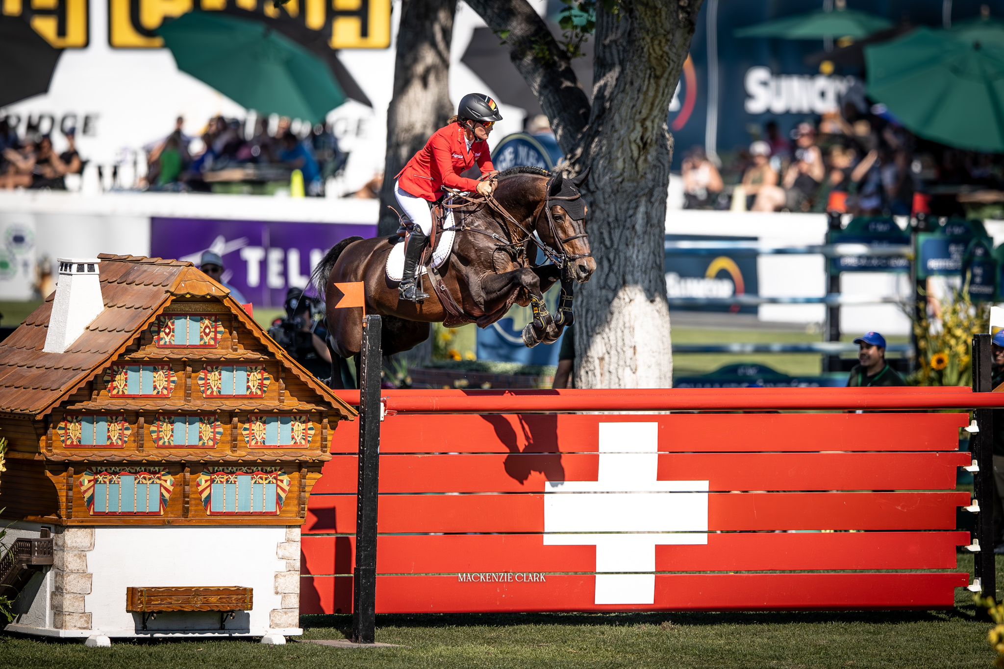 Un tributo alla Squadra Tedesca di salto ostacoli, vincitrice della Coppa delle Nazioni di Calgary 2024 4 Germanys Jorne Sprehe and Toys being precise like a swiss clock 1