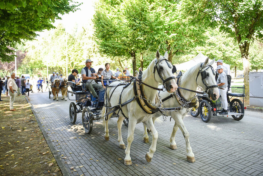 Inaugurata la 54^ Mostra Nazionale del Cavallo di Città di Castello 10 IMG 0061