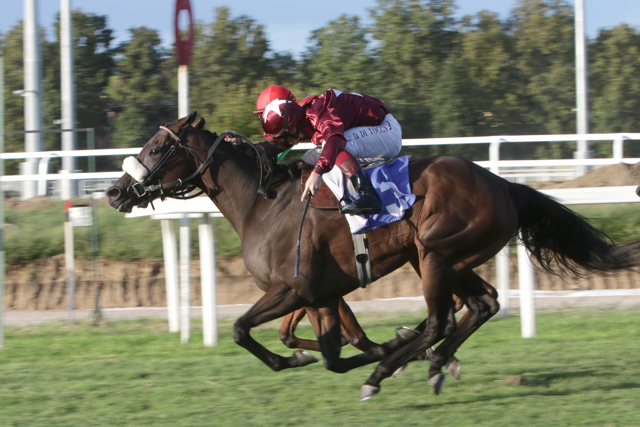 Sabato di galoppo all’Ippodromo Snai San Siro con Estrosa nel Premio Bessero 1 IMG 0368