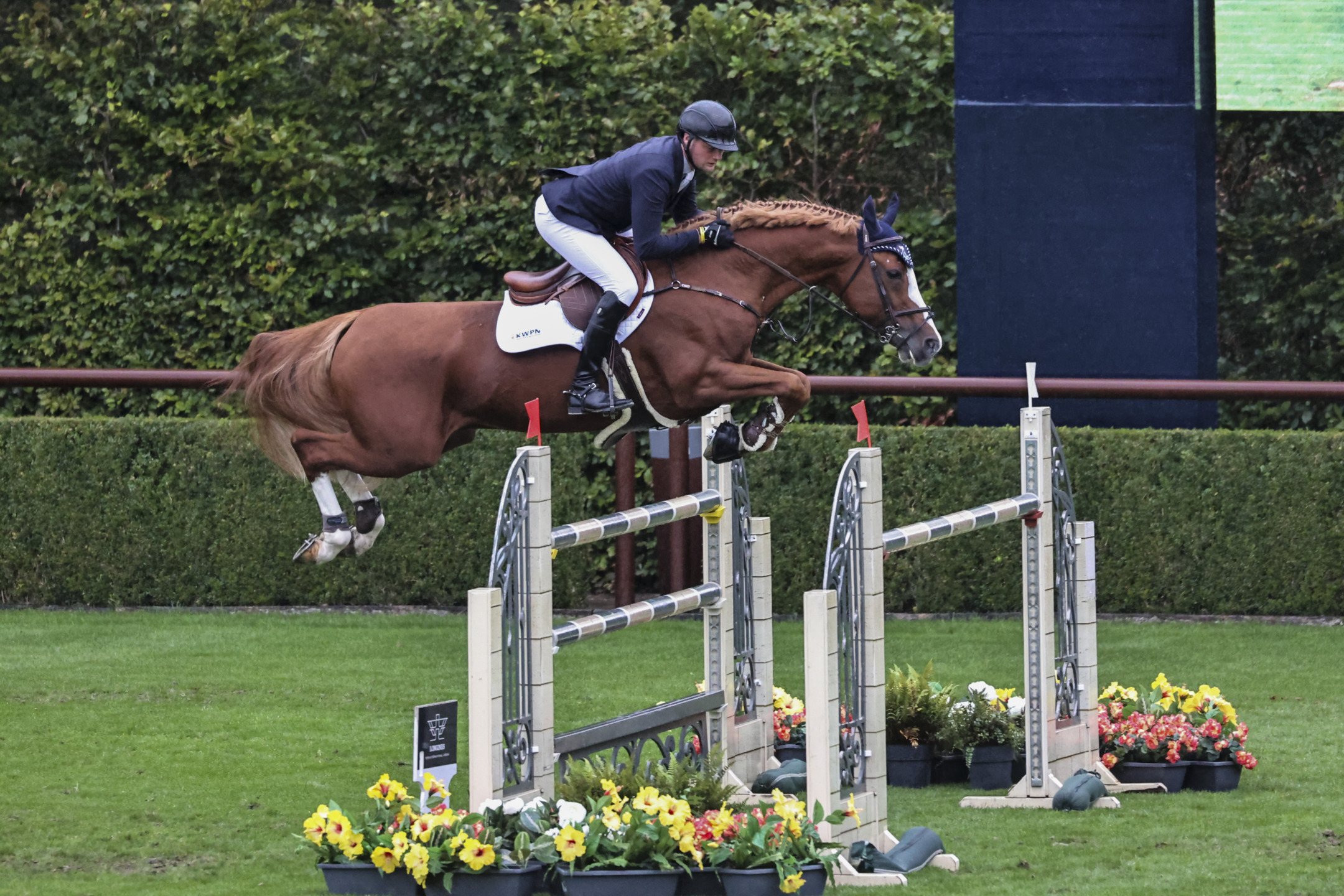 Valkenswaard: risultati del secondo giorno del WBFSH Studbooks Jumping Global Champions Trophy 2024 5 Jones Ronnie GBR Key West WBFSH 08 145 Valkenswaard 20240927 SS359630