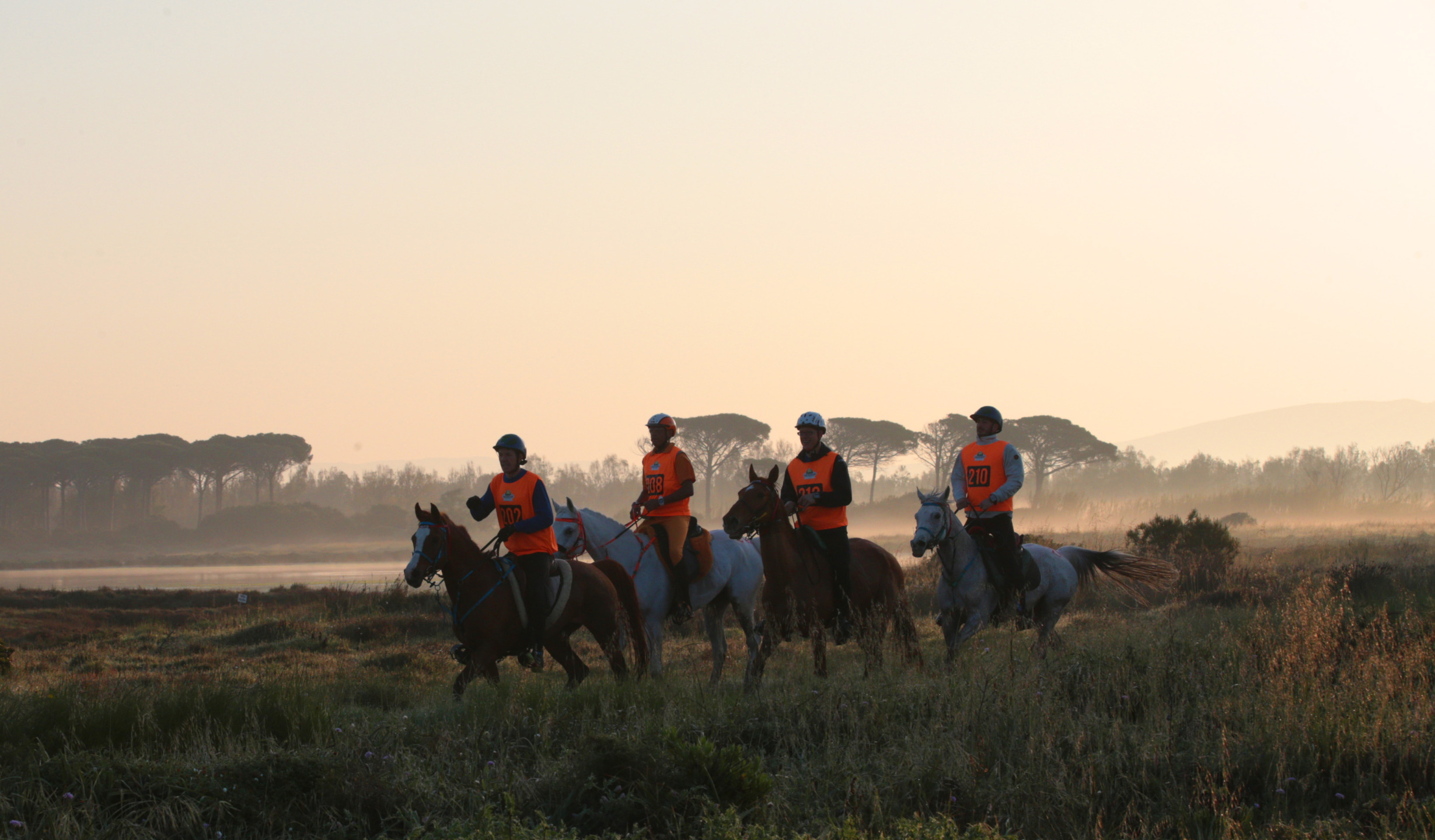 Sardegna Endurance Festival di Arborea. 1 Sardegna Europei e mondiali mdi Endurance 2024
