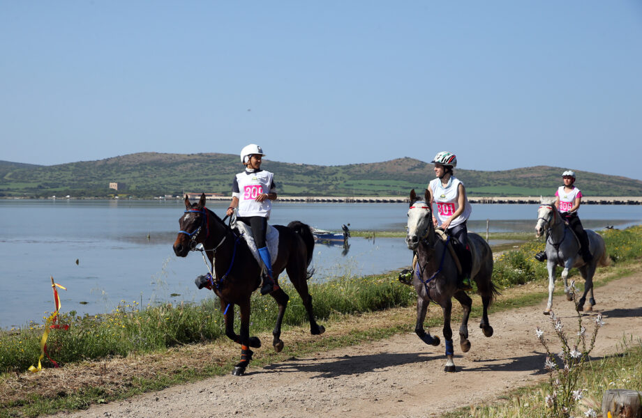 Sardegna Endurance Festival di Arborea. 2 Sardegna Endurance Festival 2