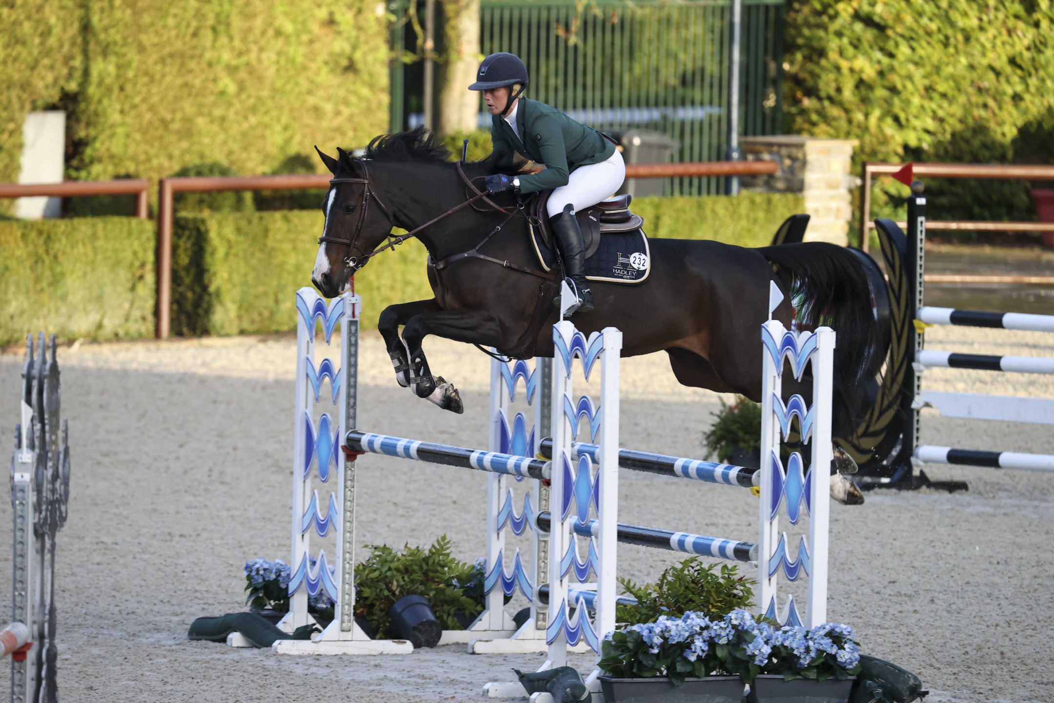 I risultati di sabato del WBFSH Studbooks Jumping Global Champions Trophy 2024 5 Shields Annabel GBR Carte D'Or SDW Z