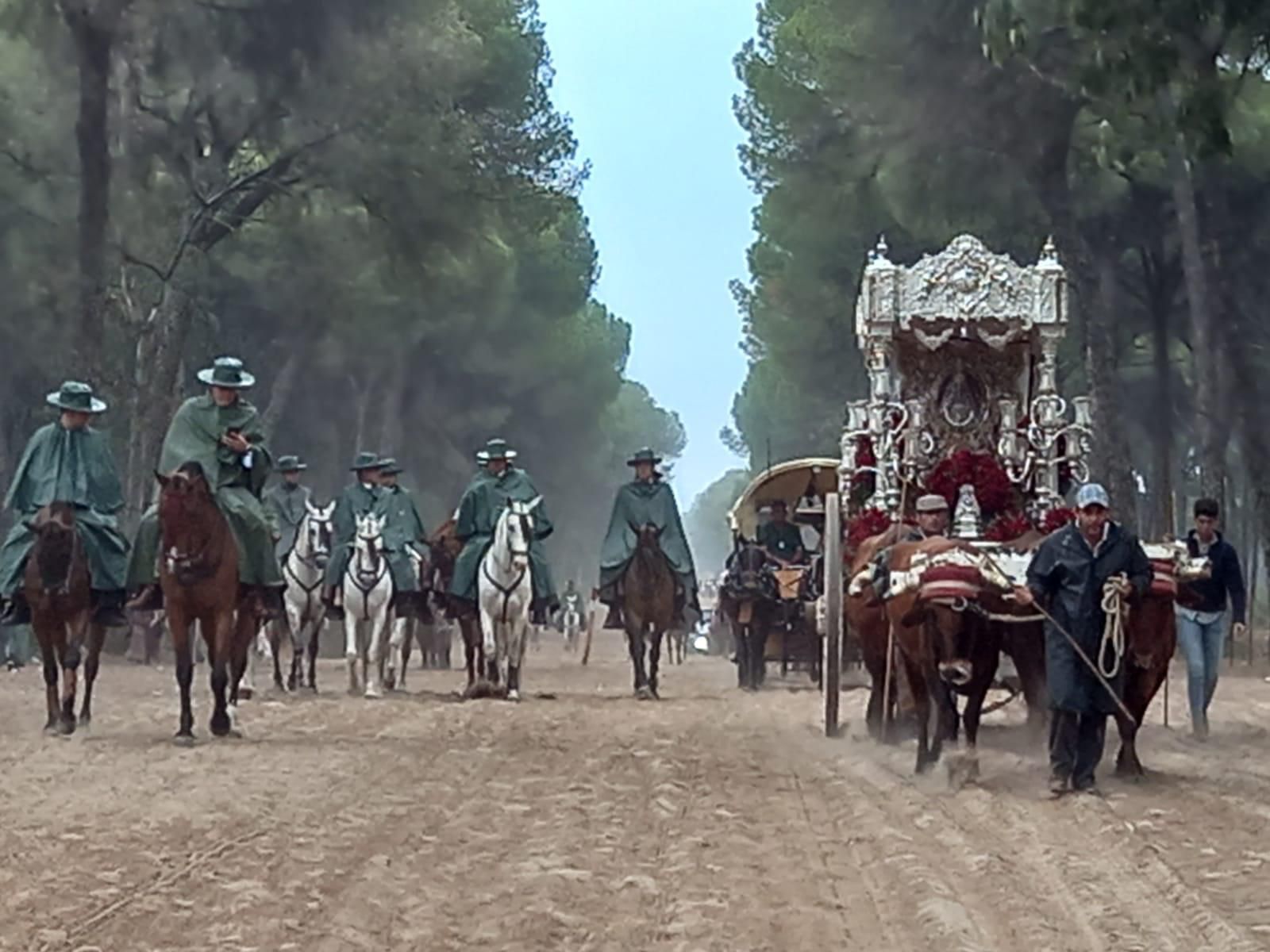The pilgrimage of El Rocío: history, traditions, and the essential role of horses 6 WhatsApp Image 2024 09 02 at 18.33.47 2