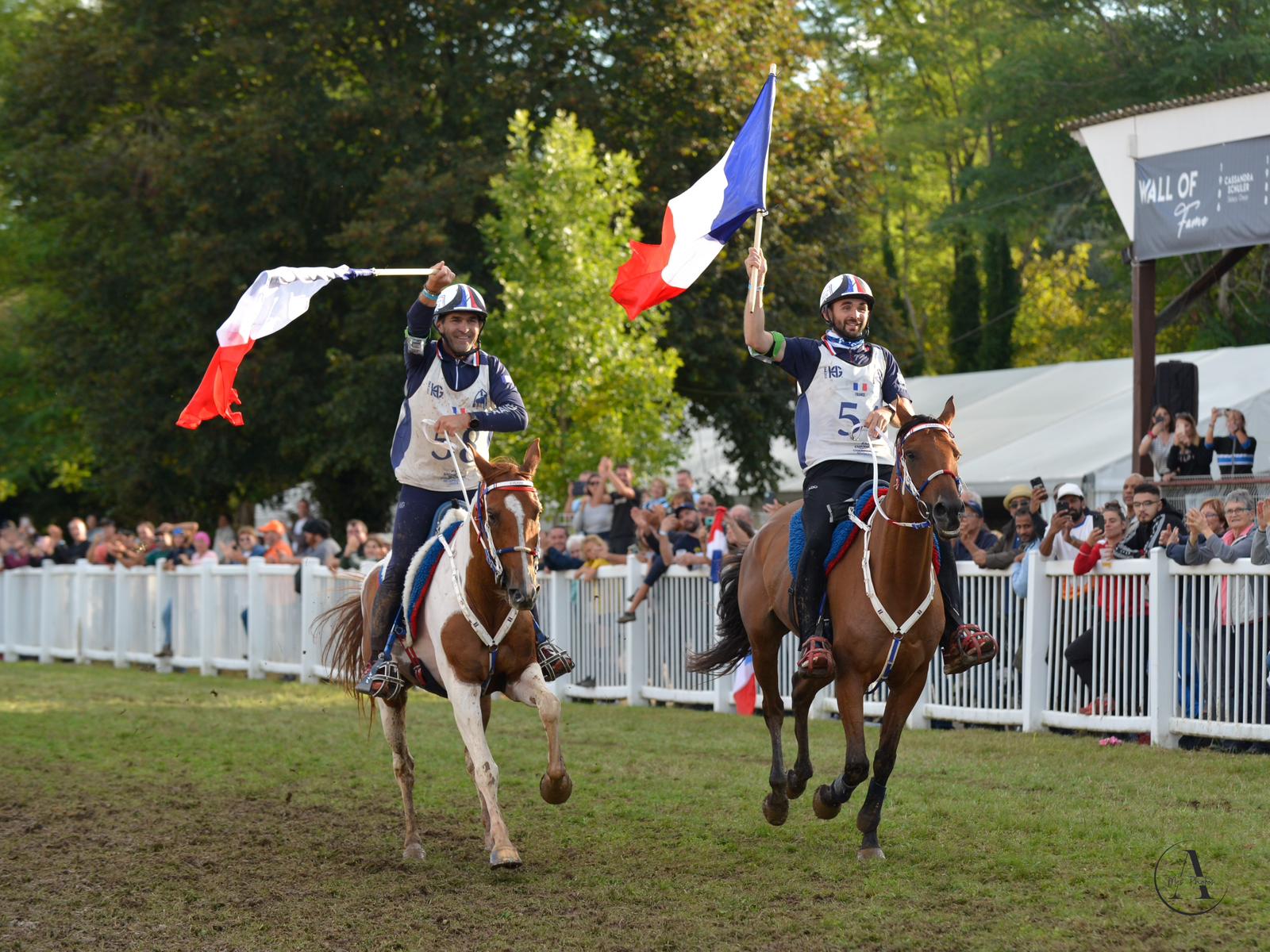 Julien Lafaure: Breeding, Training, and Enduring Success in Endurance Racing 6 WhatsApp Image 2024 09 17 at 19.30.09 1