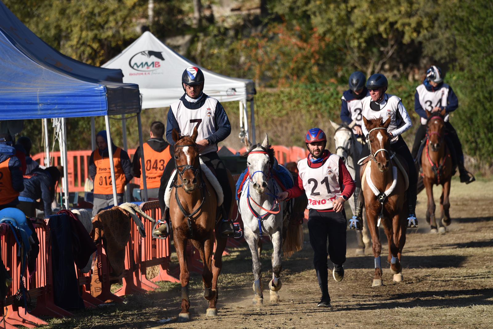 Julien Lafaure: Breeding, Training, and Enduring Success in Endurance Racing 2 WhatsApp Image 2024 09 17 at 19.30.104 1