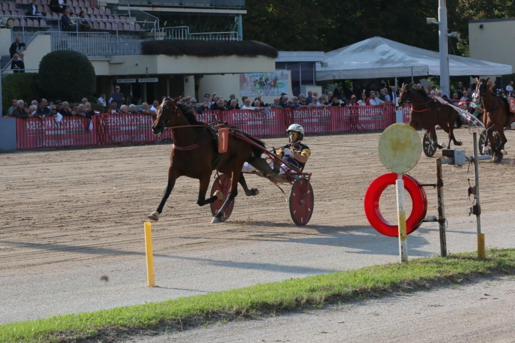 Ippodromo Arcoveggio di Bologna: resoconto delle corse del 22 settembre 1 Arrivo GP continentale all'ippodromo Arcoveggio di Bologna