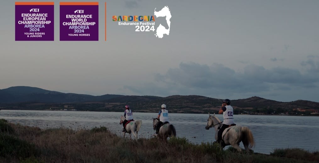 Dal 26 al 29 settembre le spiagge di Arborea ospiteranno il Sardegna Endurance Festival 2024. 1 Endurance Sardegna Arborea Horse Country Resort