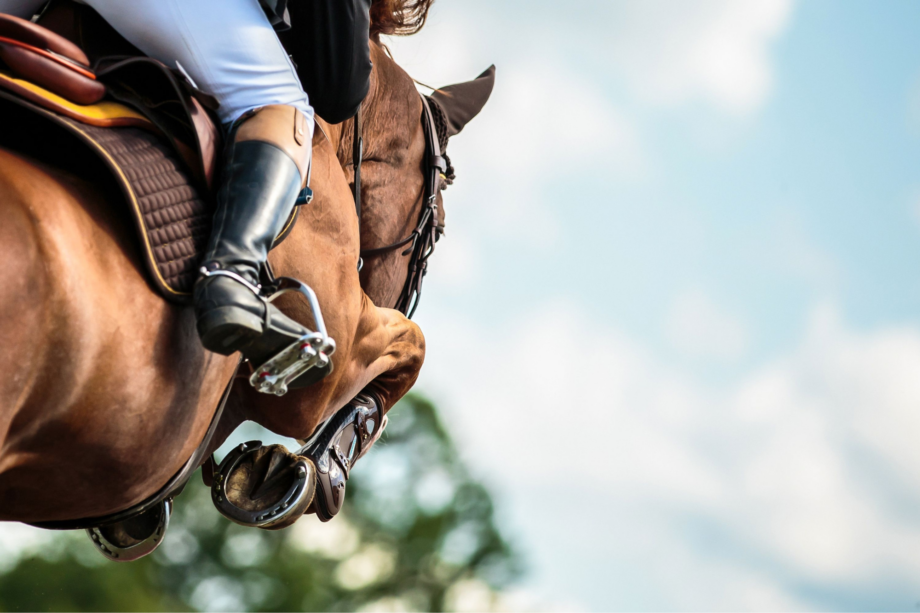 Il futuro della salute: Specialistidelcuore.it e l’importanza della prevenzione cardiovascolare 8 cavallo che riprende l'attività sportiva dopo la pausa estiva