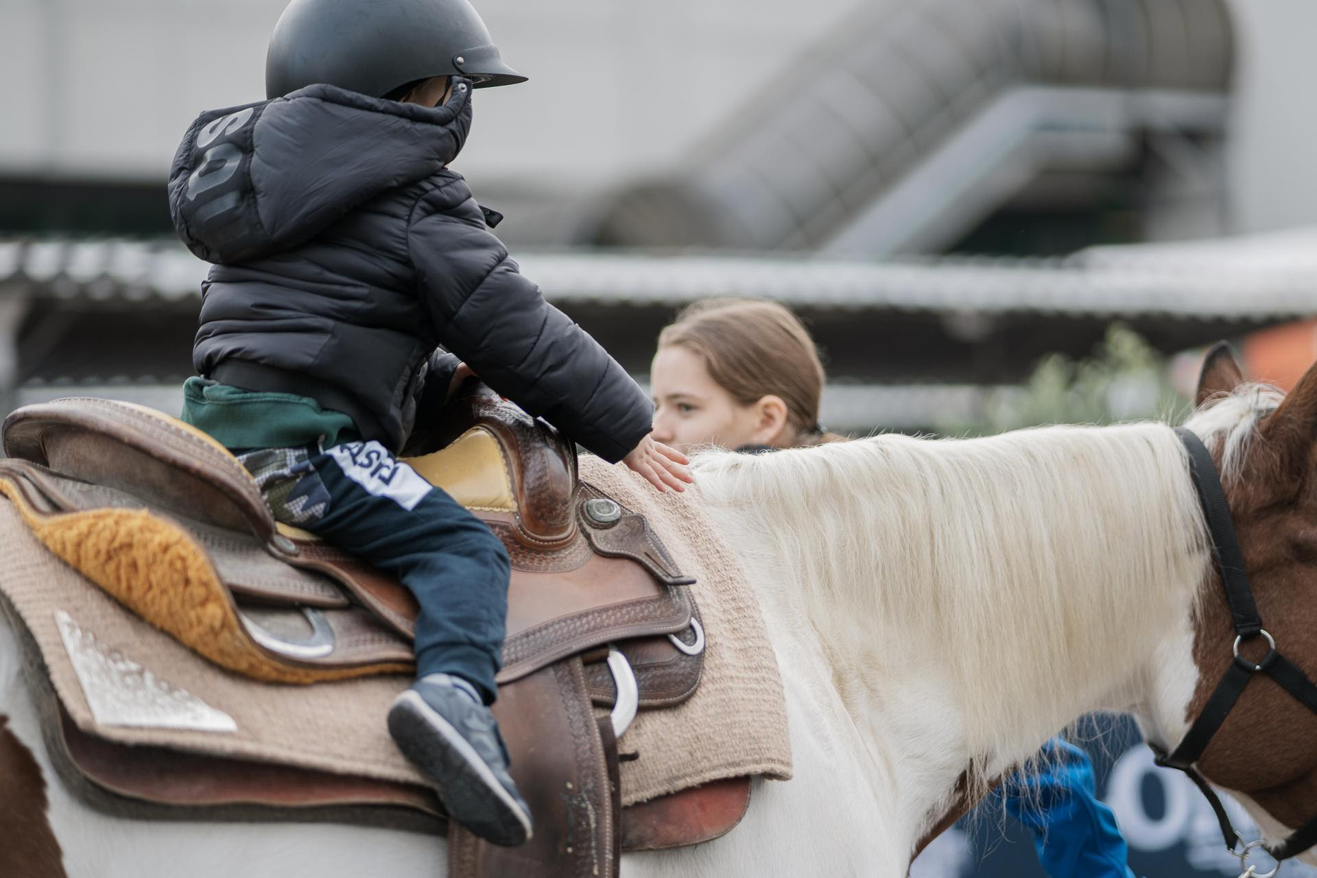 Il Tocatì sale in sella con Fieracavalli 1 Tocatì Fiercavalli evento da organizzare 2024.