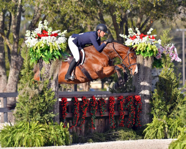 Wordley Martin, parte con la ristrutturazione della HITS Ocala Post Time Farm 8 Pista nuova per Ocala 2024