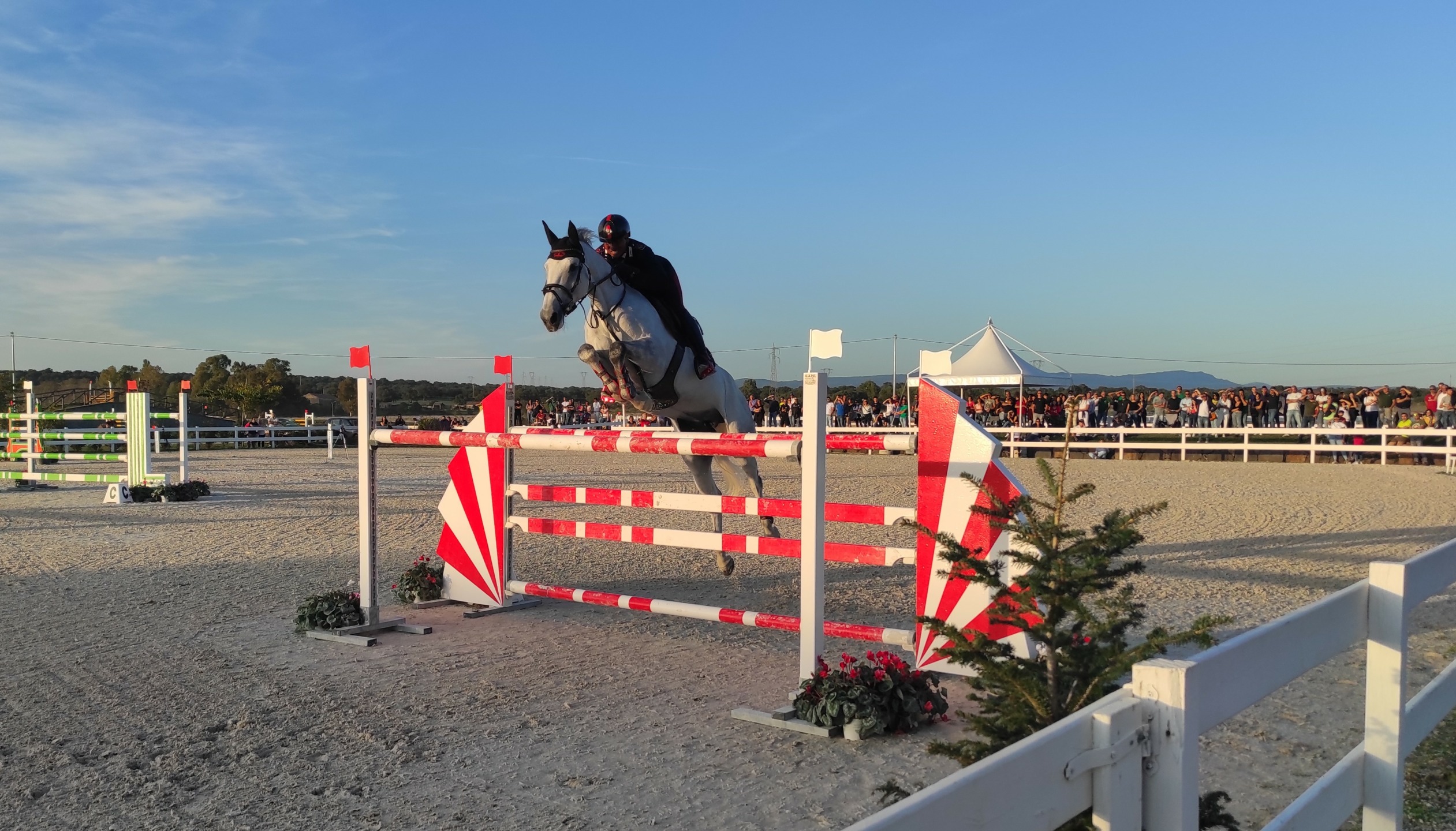 250 iscritti al Sardegna Jumping Tour e finale del Trofeo dei Nuraghi di Tanca Regia. 3 Bruno Chimirri 2022 1