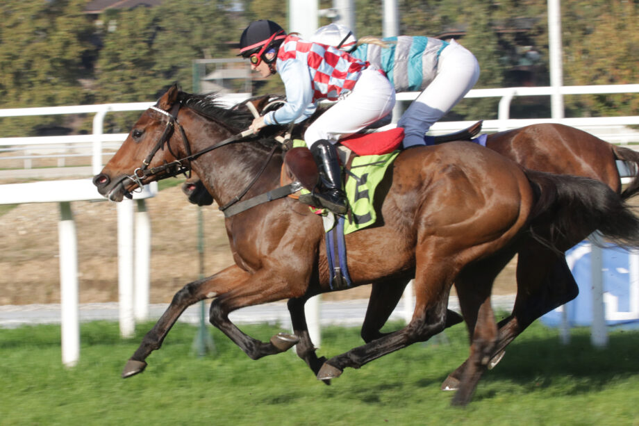 Chiude il calendario di galoppo di Ottobre, all'Ippodromo SNAI di San Siro. 2 CORSA1 PREMIO AGRI AMAZZONI