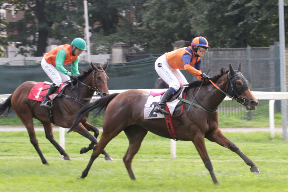 Nel martedì di galoppo all'Ippodromo SNAI San Siro spunto interessante di Black Magma nel Premio Dark Horse. 2 CORSA1 PREMIO VITTORIO SPERONI