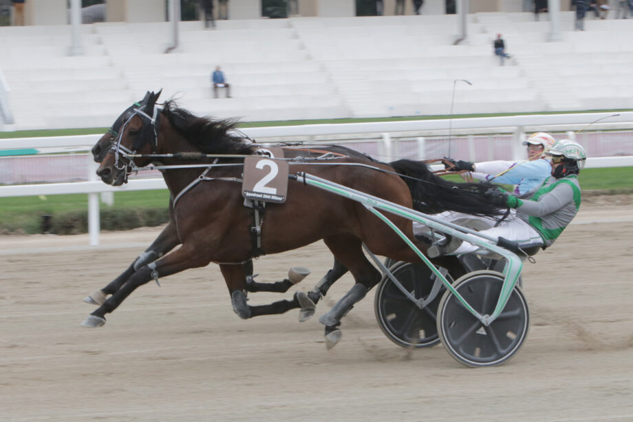 All’Ippodromo Snai San Siro in 1400 ad applaudire il francese cocktail che vince il “Vittoria Riva” 4 CORSA2 PREMIO GD CLUB LOMBARDIA