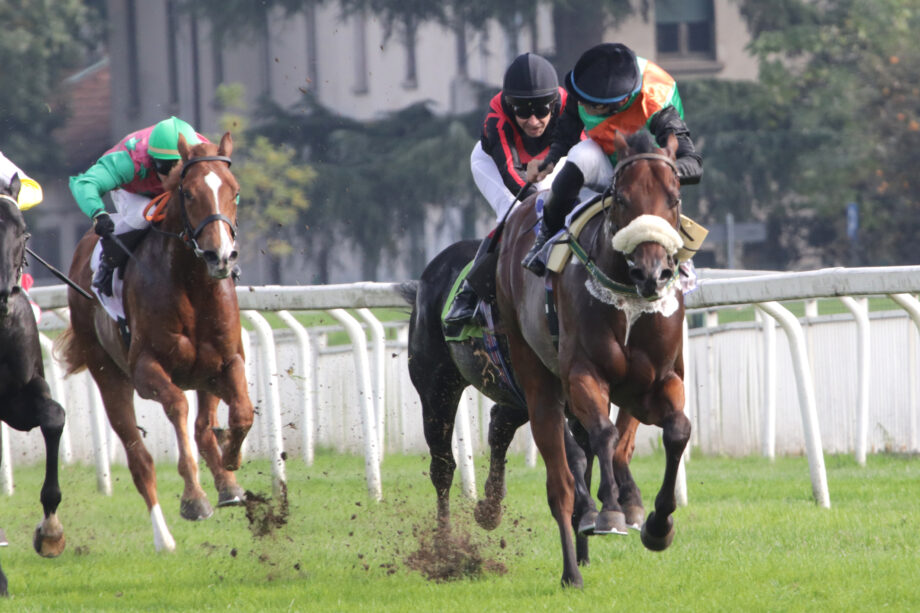 Nel martedì di galoppo all'Ippodromo SNAI San Siro spunto interessante di Black Magma nel Premio Dark Horse. 3 CORSA2 PREMIO JUVENILE DARK HORSE SANCTUARY
