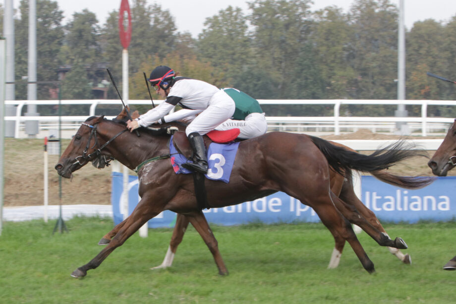 Nel martedì di galoppo all'Ippodromo SNAI San Siro spunto interessante di Black Magma nel Premio Dark Horse. 4 CORSA3 PREMIO ALBERTO E ALFONSO LITTA MODIGNANI