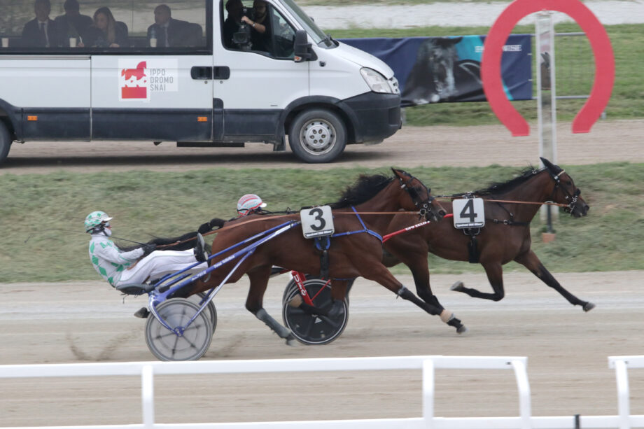 All’Ippodromo Snai San Siro in 1400 ad applaudire il francese cocktail che vince il “Vittoria Riva” 3 CORSA3 PREMIO AVRIL