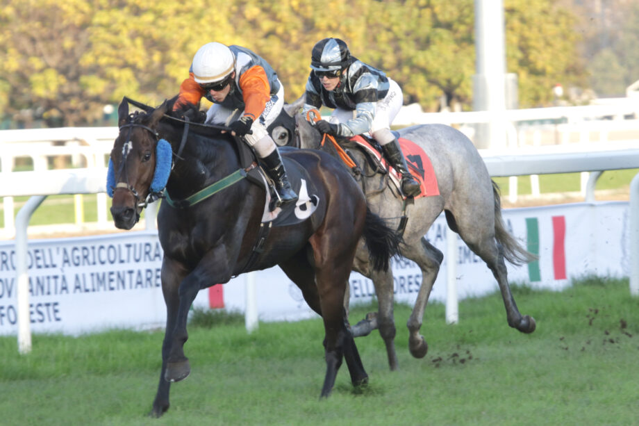 Chiude il calendario di galoppo di Ottobre, all'Ippodromo SNAI di San Siro. 3 CORSA3 PREMIO IPPICA CHE PASSIONE