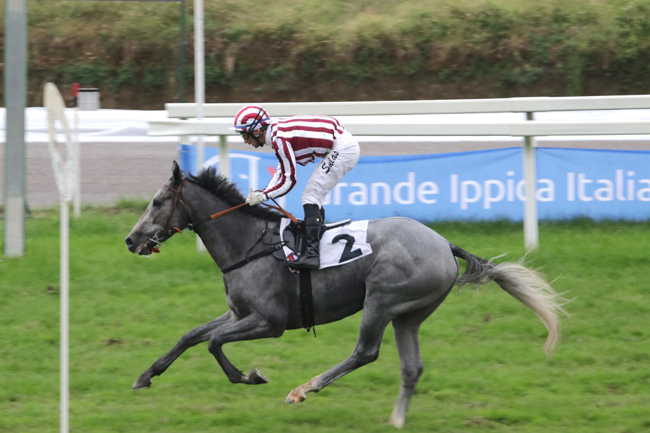 All’ippodromo Snai San Siro mercoledì di galoppo su una pista pesante con Gray Chance nello Schiapparelli 1 CORSA3_PREMIO-SCHIAPPARELLI