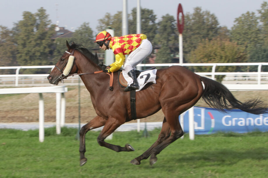 Nel martedì di galoppo all'Ippodromo SNAI San Siro spunto interessante di Black Magma nel Premio Dark Horse. 5 CORSA4 PREMIO CLASSIC DARK HORSE SANCTUARY