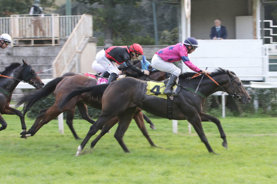 Nel martedì di galoppo all'Ippodromo SNAI San Siro spunto interessante di Black Magma nel Premio Dark Horse. 6 CORSA5 PREMIO MILE DARK HORSE SANCTUARY