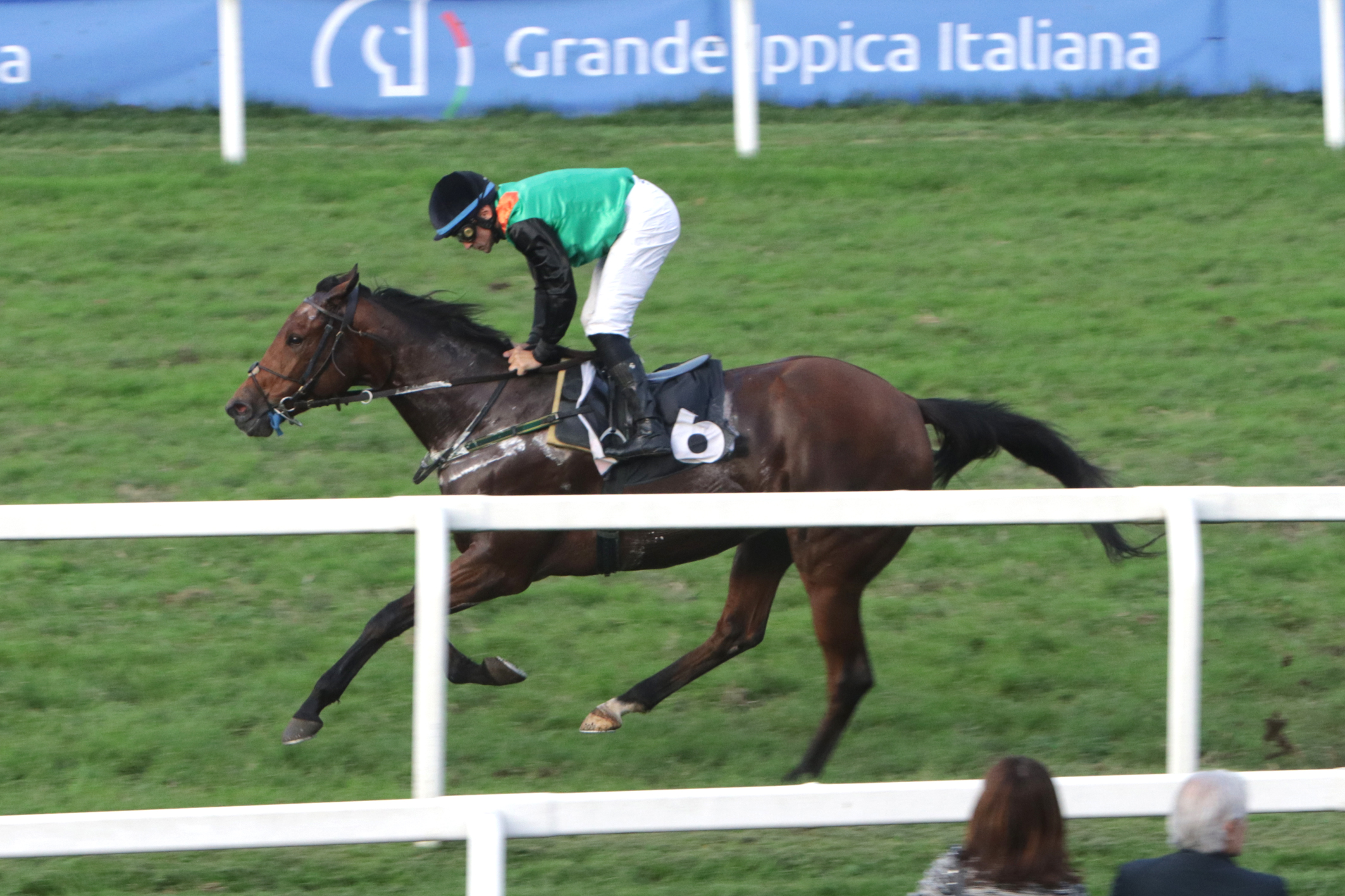 Nel martedì di galoppo all'Ippodromo SNAI San Siro spunto interessante di Black Magma nel Premio Dark Horse. 1 CORSA6_PREMIO-SPRINT-DARK-HORSE-SANCTUARY.jp