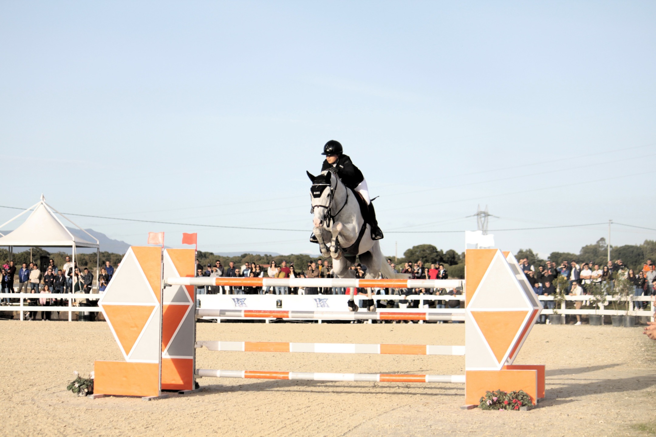 250 iscritti al Sardegna Jumping Tour e finale del Trofeo dei Nuraghi di Tanca Regia. 2 Elisa Chimirri 2023