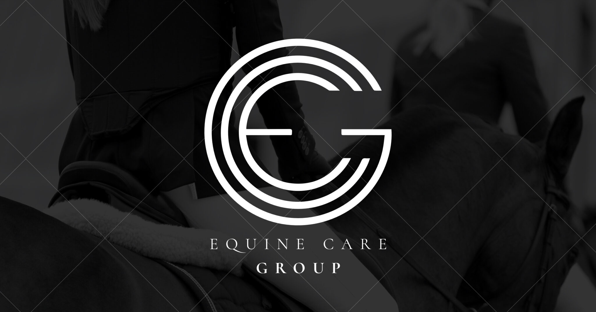 Equitom: Tom Mariën e la nuova era della medicina veterinaria equina 3 Equine Care Group