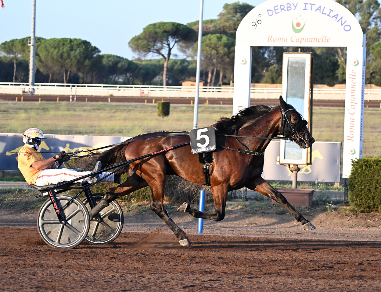 Nel weekend all’Ippodromo Capannelle la grande festa del trotto 1 Expo Wise As vince il Derby Italiano del Trotto 2023
