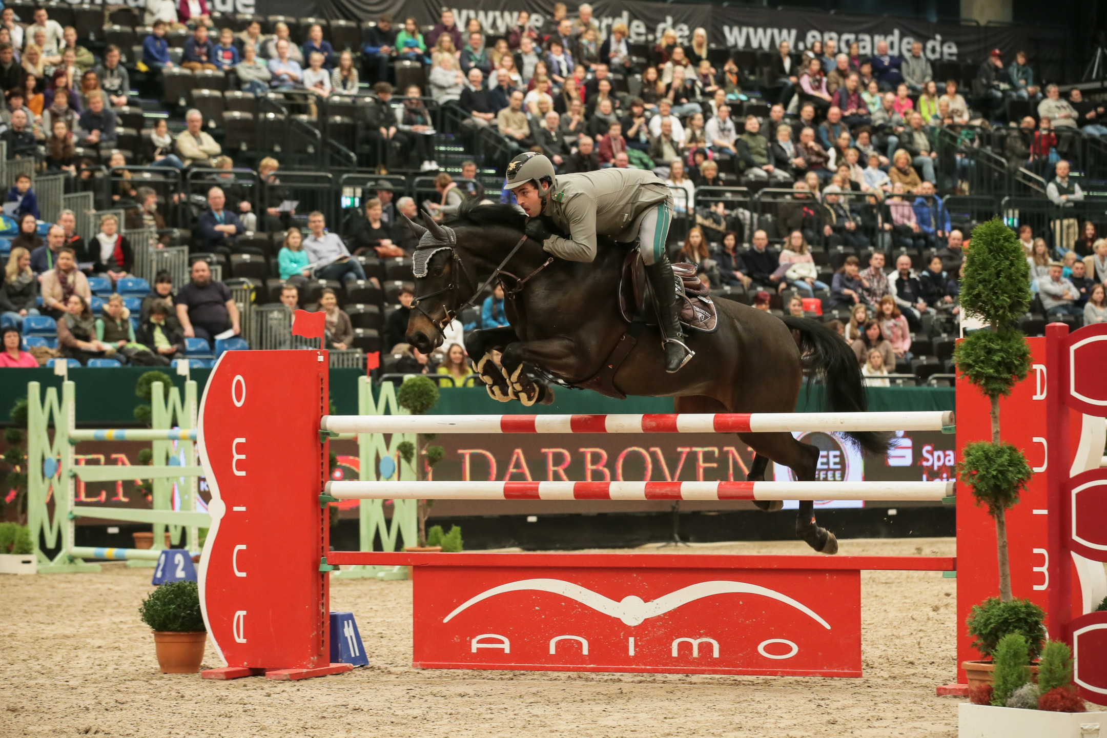 Intervista esclusiva al cavaliere italiano Emanuele Gaudiano 3 GAUDIANO Carlotta Leipzig2016 SS7 0691