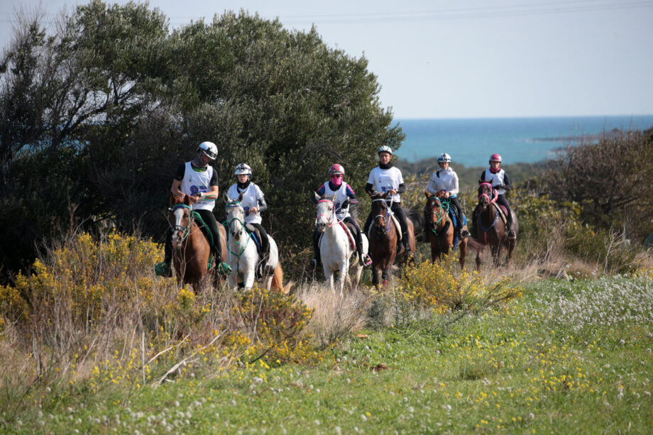 Endurance Puglia Experience. 2 Gruppo in collina vista mare