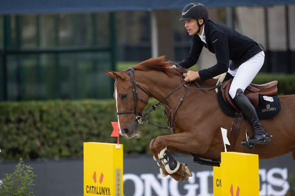 King Edward, the Small but Mighty Horse Reigning over Equestrian Sports 1 IMG 1082