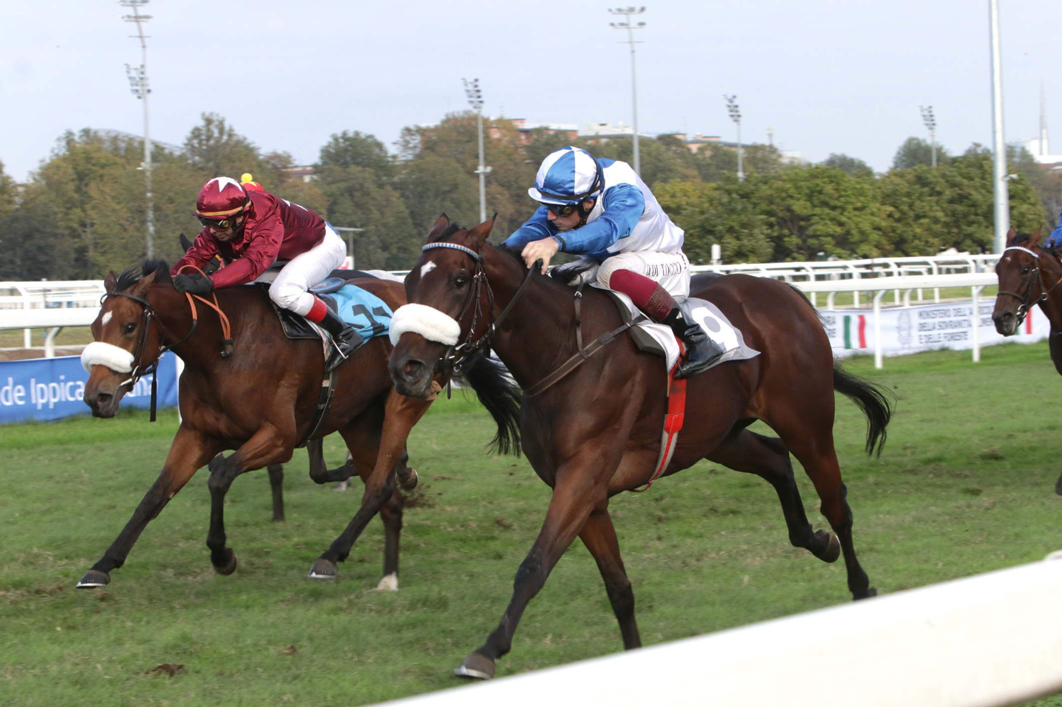 Domenica all’Ippodromo Snai San Siro con il bis del jockey Dario Di Tocco nel Premio Verziere 1 IMG 1200