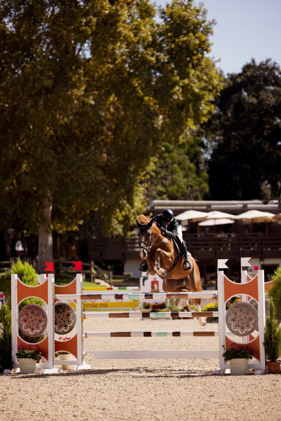 Interview with Luiz Felipe Neto de Azevedo: a legacy in the saddle 4 IMG 1314 1