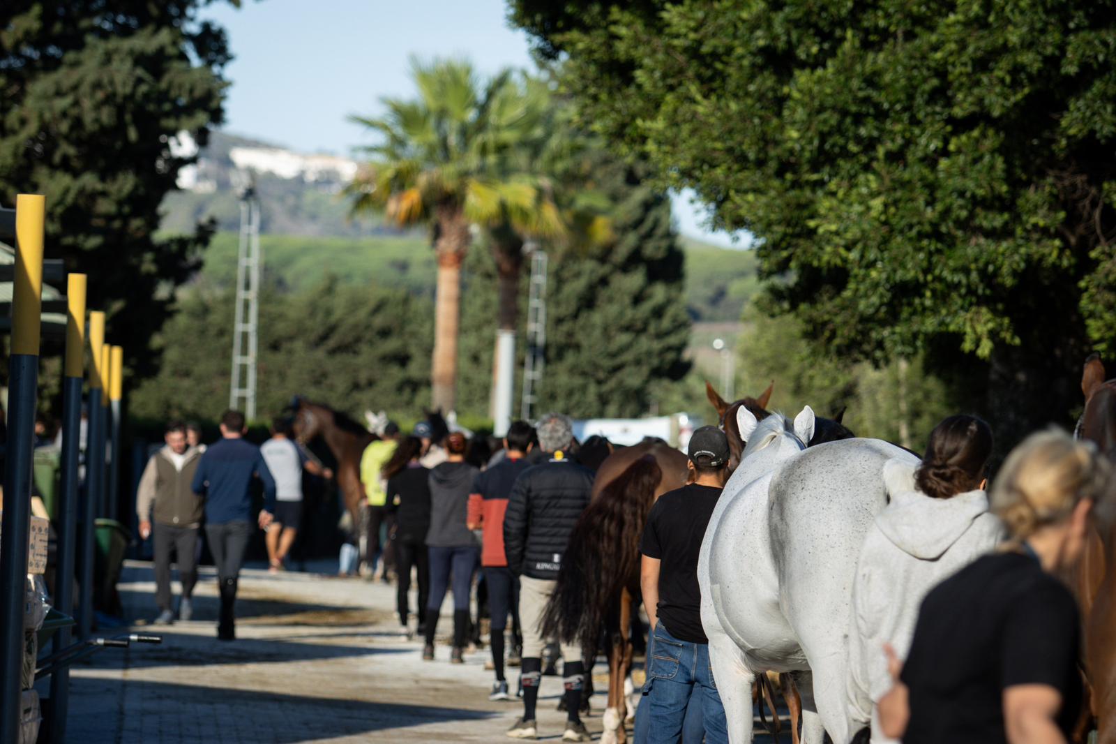Il CSIYH* torna a calcare le arene di Montenmedio, Andalucía October Tour. 4 Imagen de WhatsApp 2024 10 23 a las 13.18.19 01d8dd49