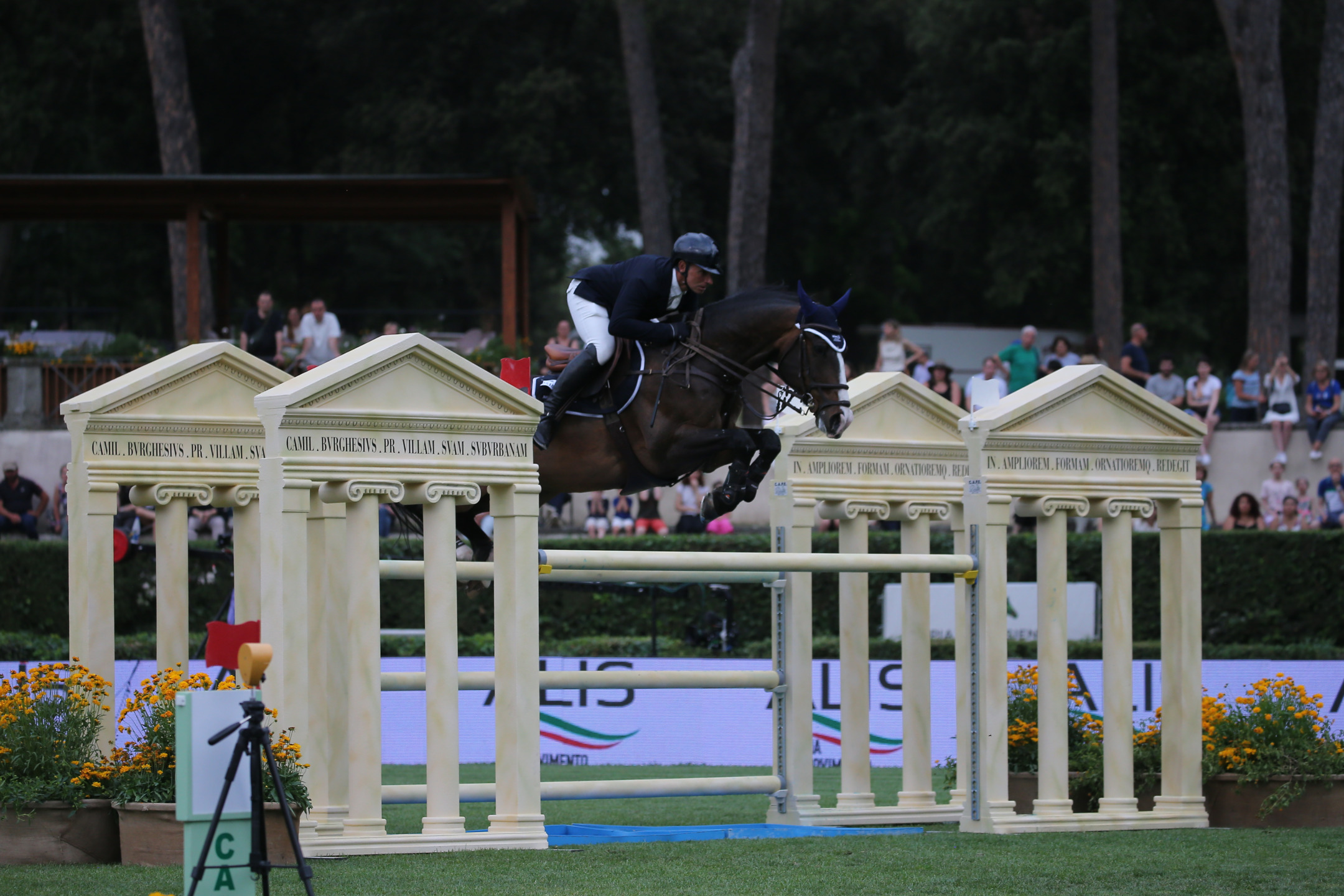 Intervista a Paolo Paini: "Alla base di tutto c'è l'amore verso questi meravigliosi animali" 7 Paini TenTen CSIORoma2022 SS7 4711