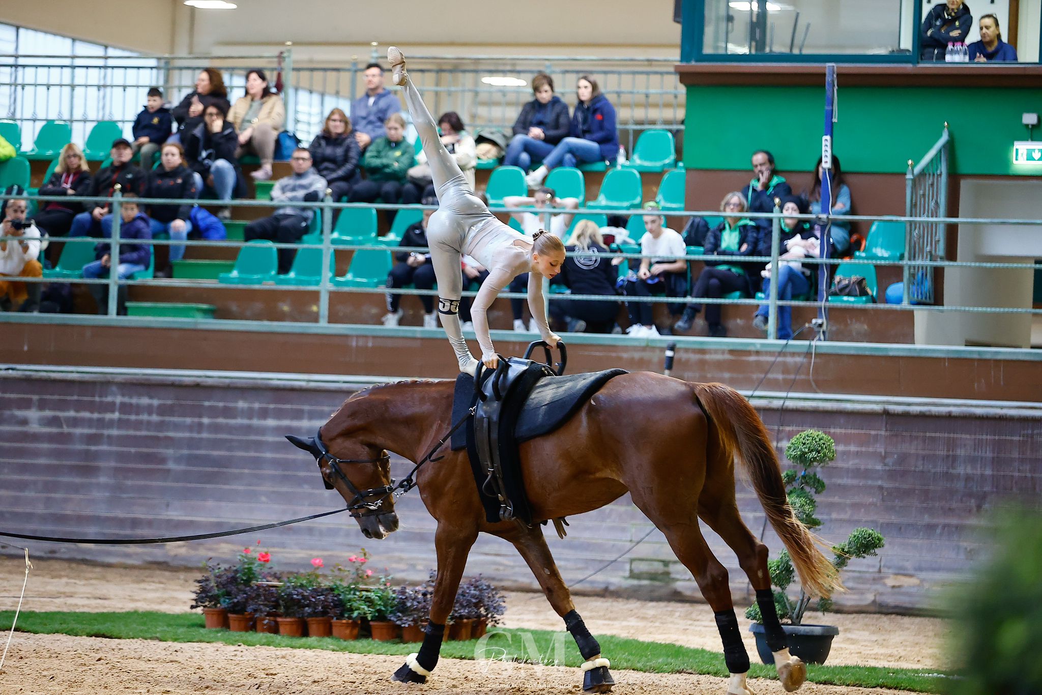 Campionato Italiano di Volteggio e di Attacchi 2024: tutti i risultati 7 WhatsApp Image 2024 10 19 at 15.52.59