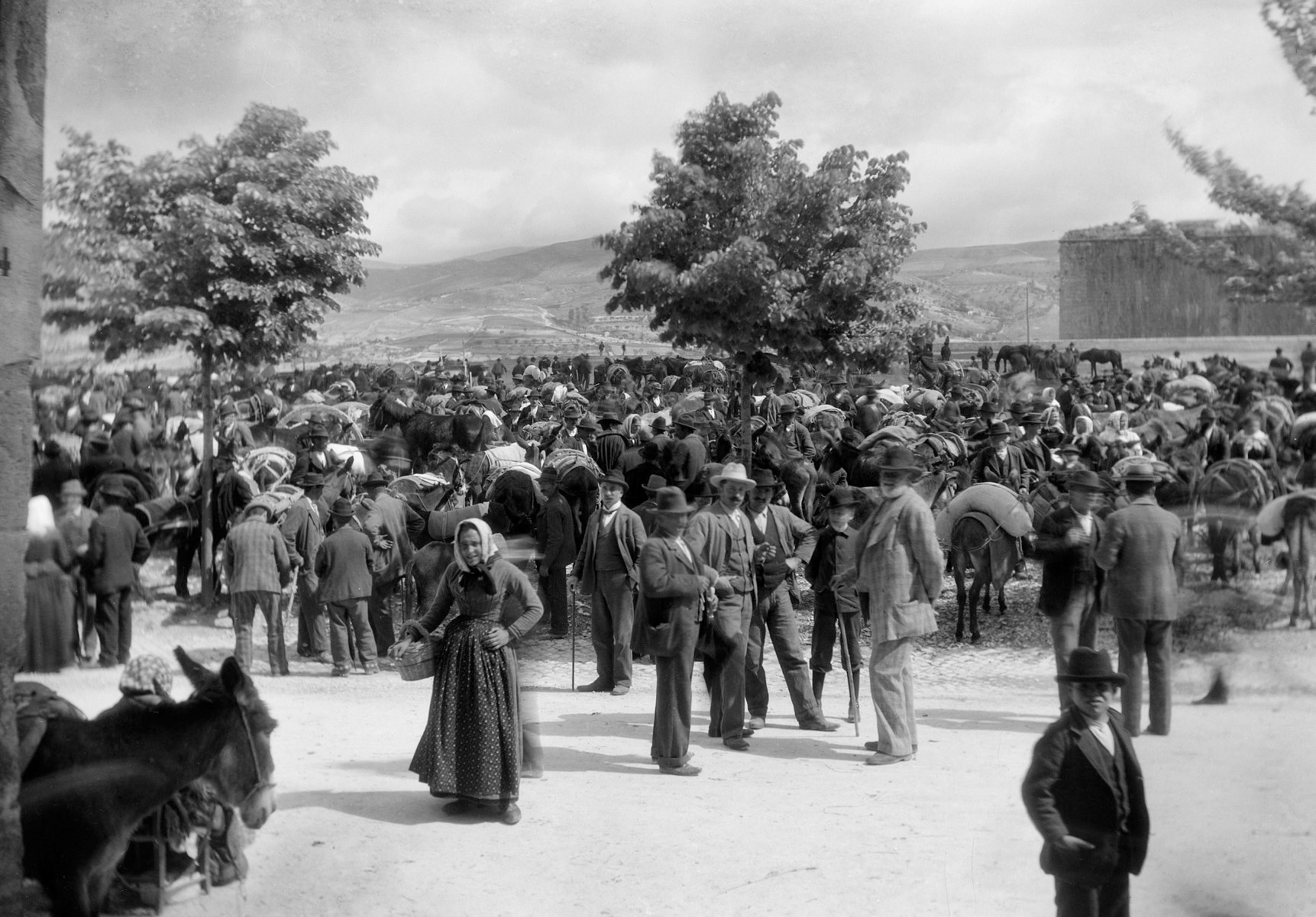 1868-2024: la Antica Fiera che racconta l’anima rurale di Tornimparte. 1 Antica fiera del bestiame che racconta l’anima rurale di Tornimparte