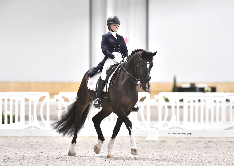 Dressage nazionale in arrivo a ottobre al WEC - Ocala. 1 Dressage Ocala World Equestrian Center 2024