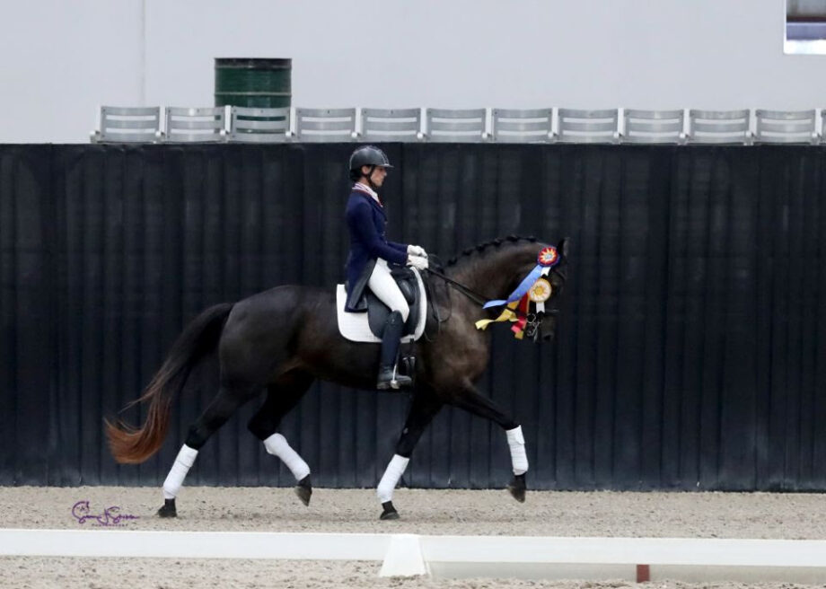 L'influenza tedesca è forte nei due campionati regionali dell'USDF. 4 foto 3 1
