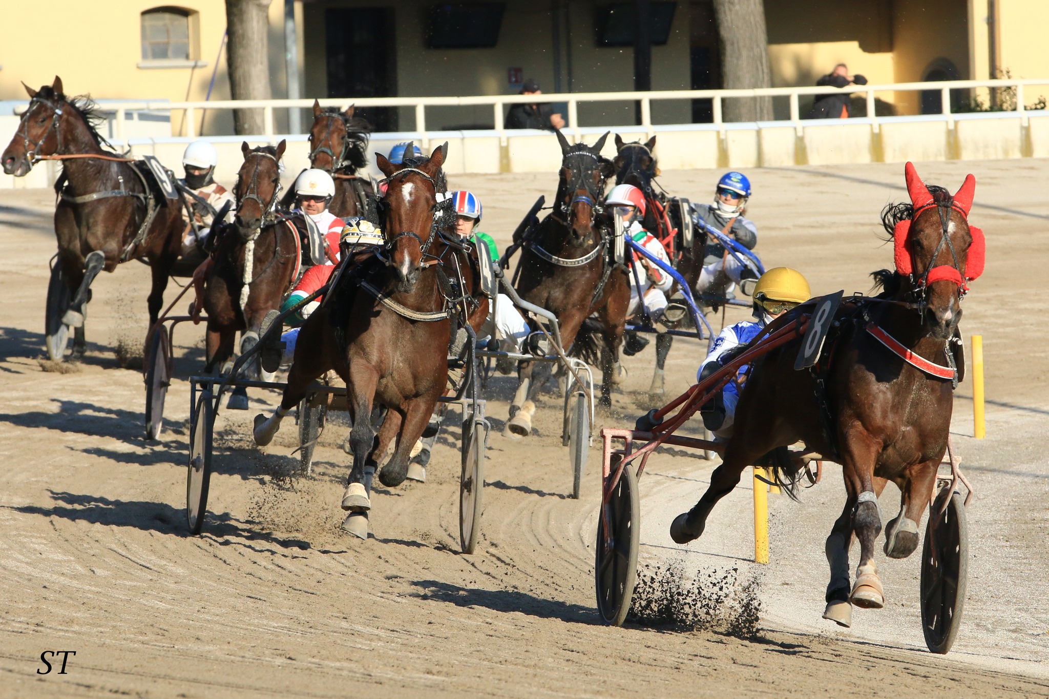 All’ippodromo Arcoveggio di Bologna domenica 13 ottobre 1 Ippodromo Arcoveggio di Bologna corsa al trotto