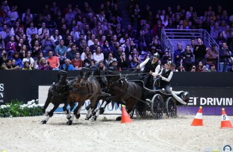 Equita Lyon. I migliori cavalieri e i migliori guidatori del mondo, arrivano a Lyone. 4 Equita Lyon. I migliori cavalieri e i migliori guidatori del mondo, arrivano a Lyone.