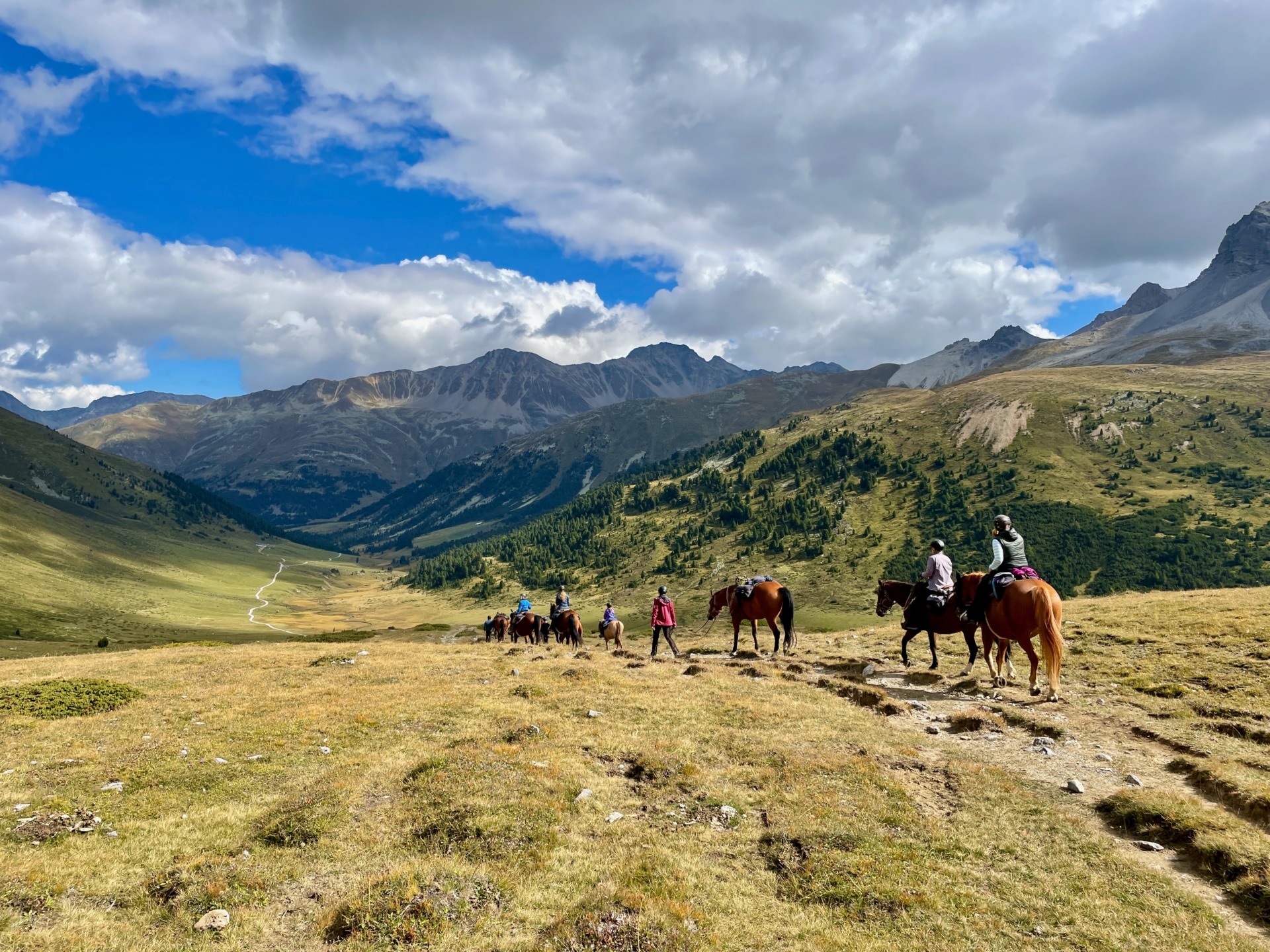 Il turismo equestre: il compagno di viaggio ideale 1 shutterstock 2048092343