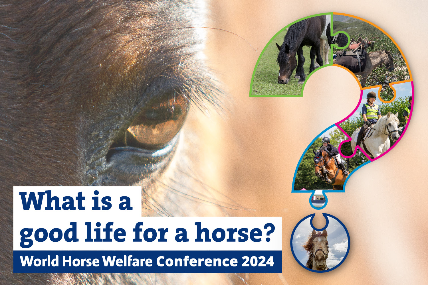 Aperte le iscrizioni alla Conferenza annuale del World Horse Welfare. 1 Conferenza per la gestione del cavallo