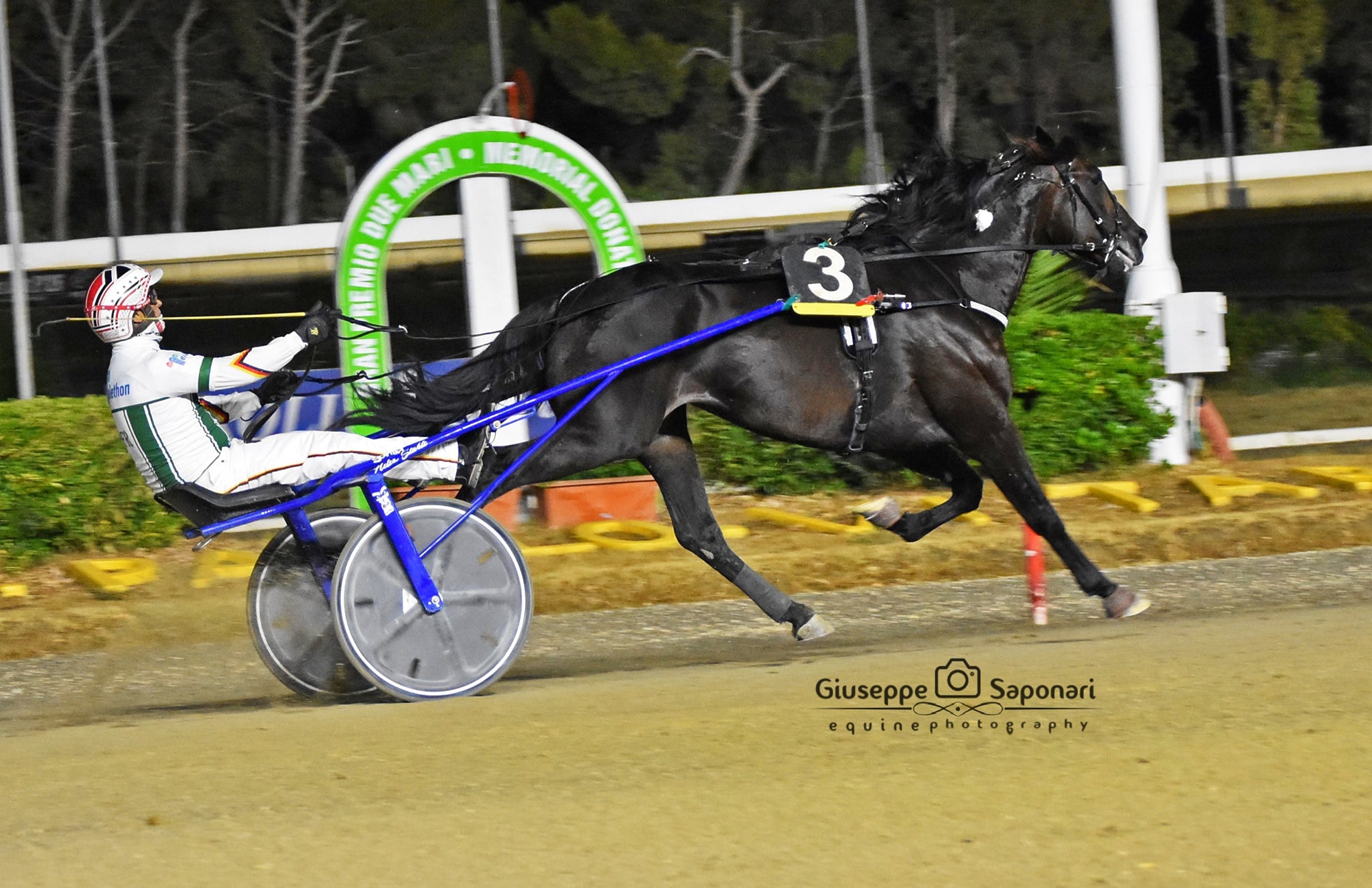 Si accendono i motori per il clou all’ippodromo Paolo Sesto 1 51