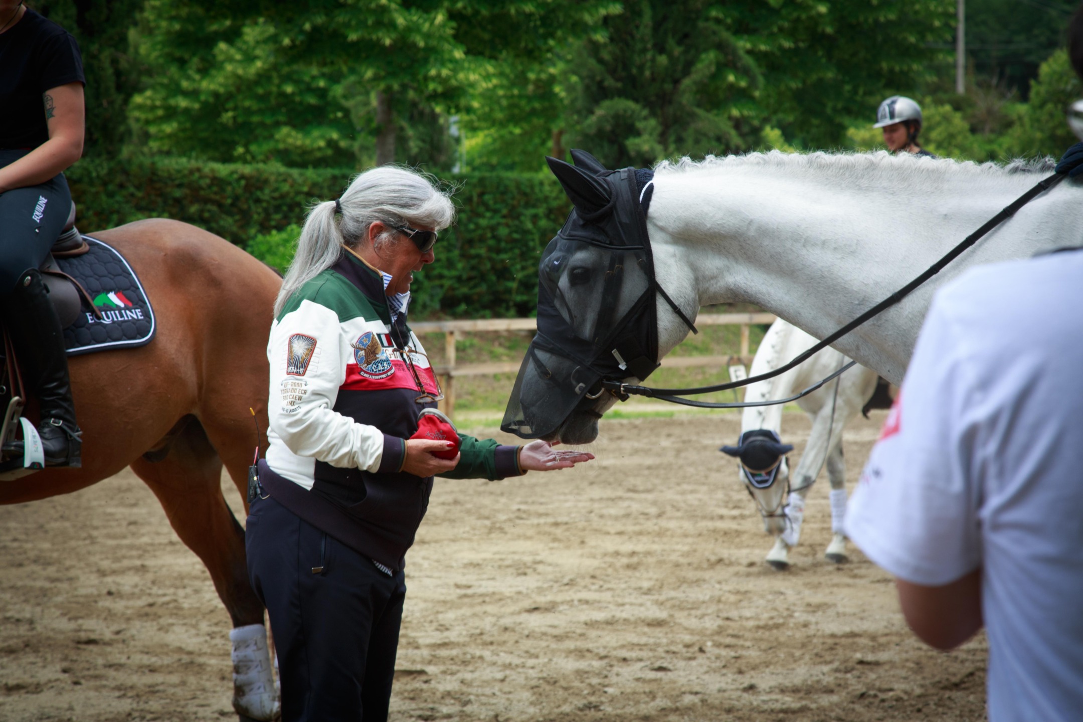Dressage all to be understood 3 Campus2020 SS9 0335