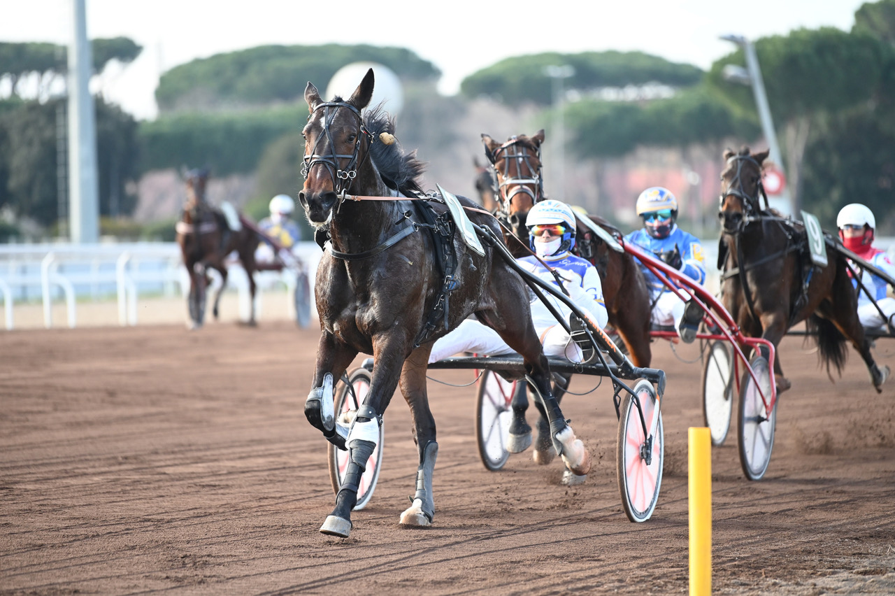 Sabato 9 novembre, trotto di qualità all’Ippodromo Capannelle 1 Capannelle trotto 2