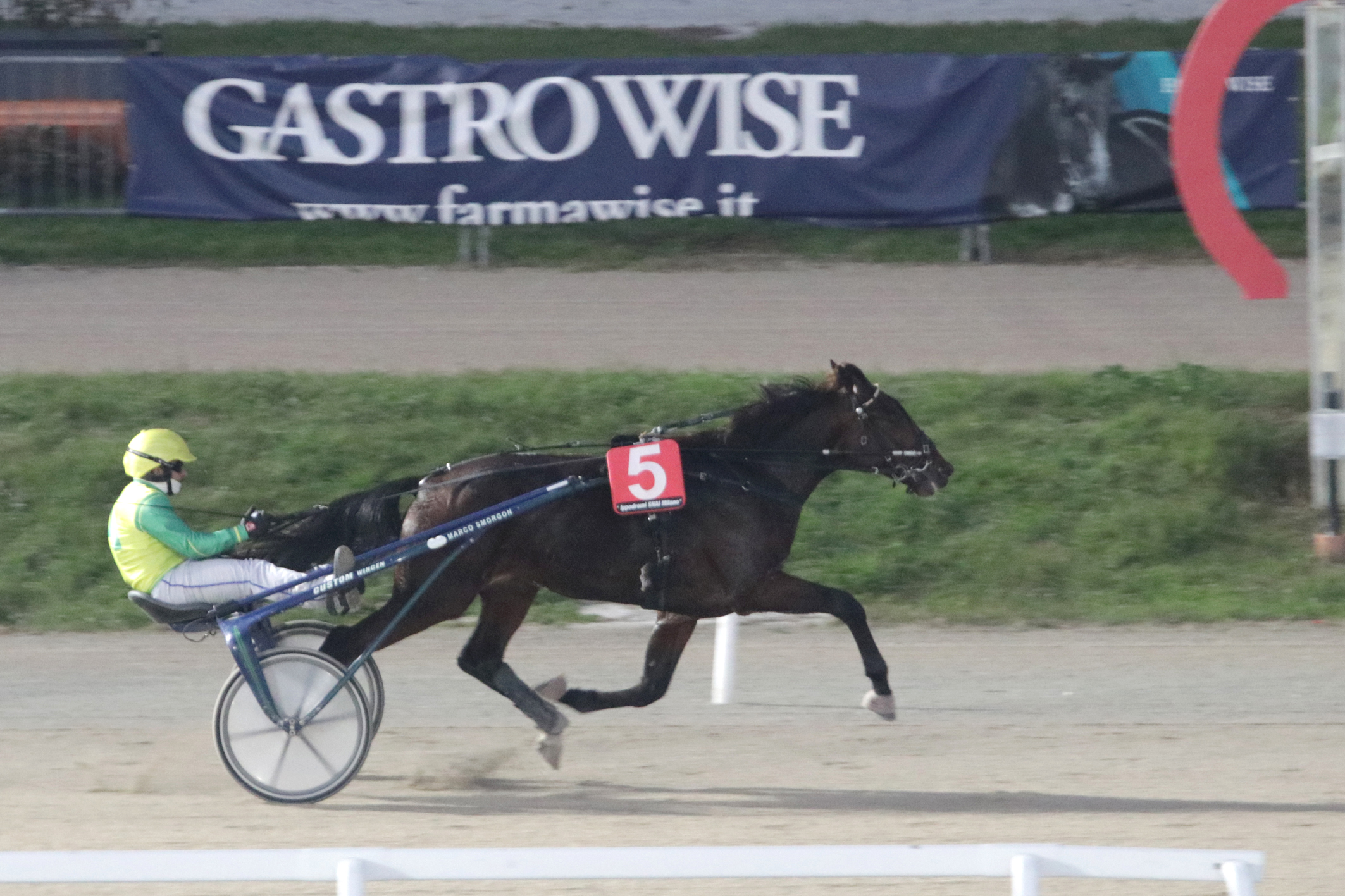 All’Ippodromo Snai San Siro venerdì di trotto con le vittorie di Golden Gio nel Premio Cornelia Op 1 Corsa4_ PREMIO CORNELIA OP