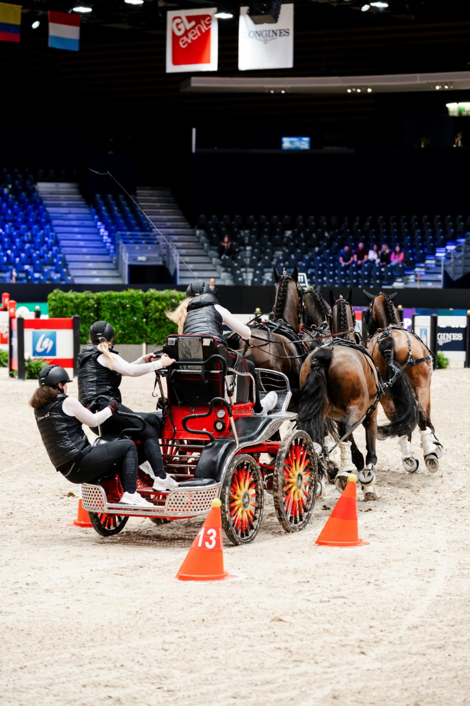 Driving: long reins with a royal flavour 4 Driving World Cup Lyon 2024 1